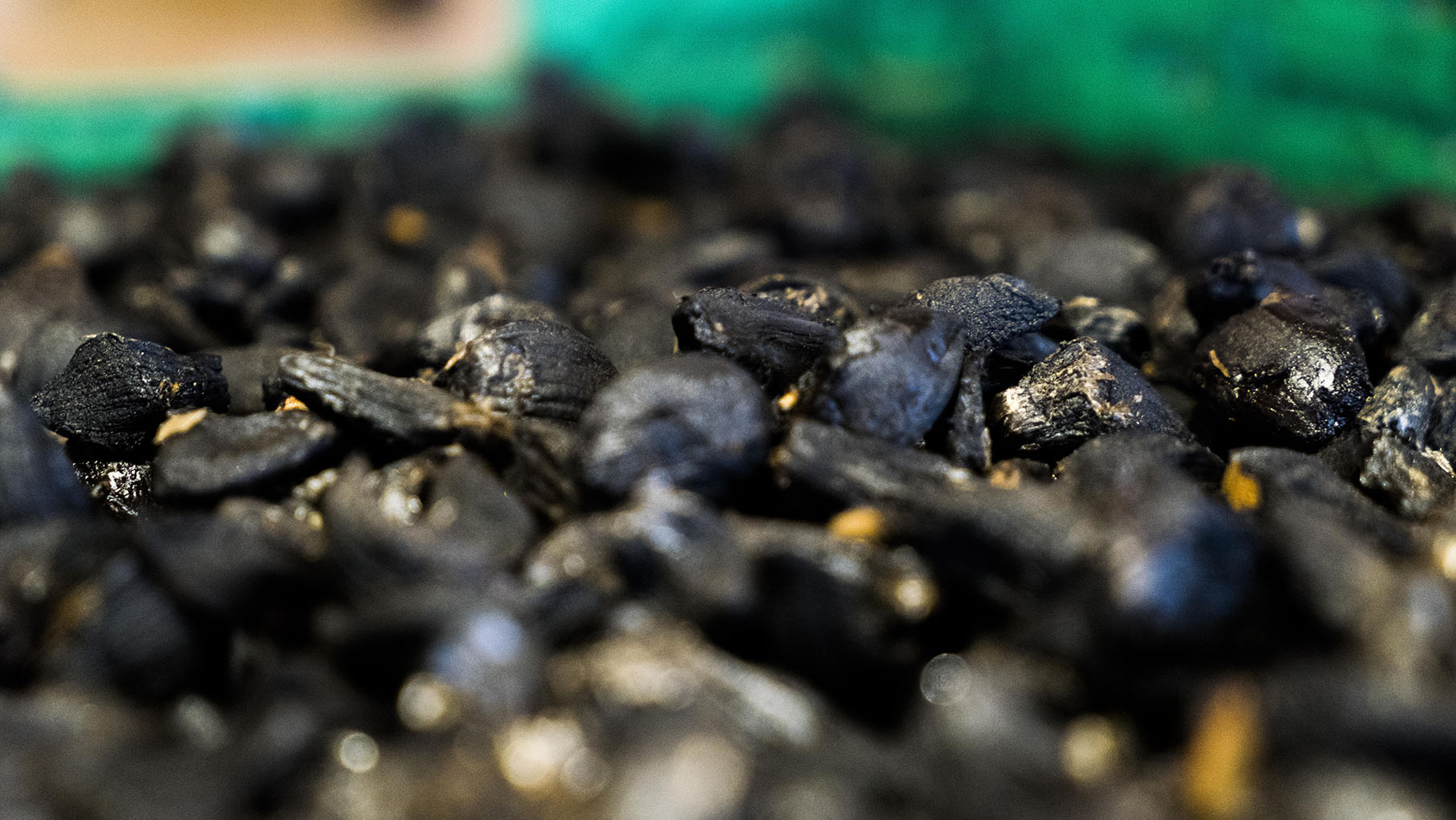 Gefüllte Champignons mit schwarzem Knoblauch